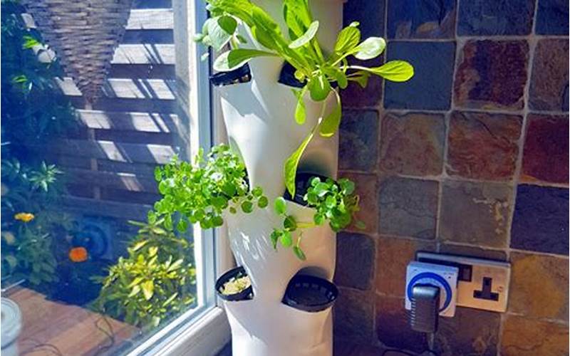 a hydroponic herb garden-indoor robert a carter