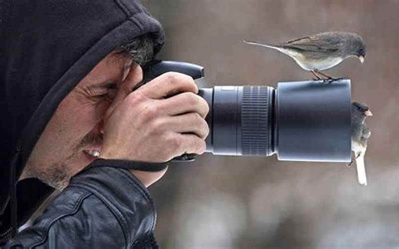 Tips For Wildlife Photography