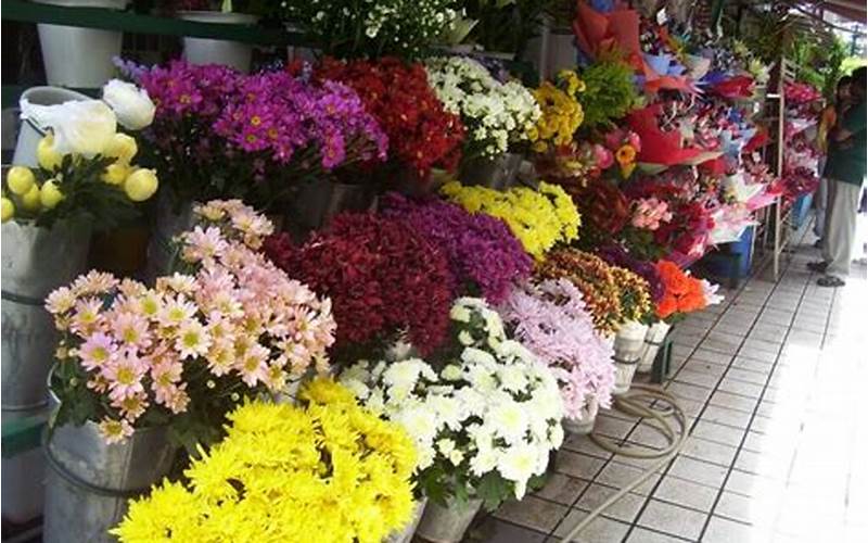 Tips Memilih Bunga Di Toko Bunga Dekorasi