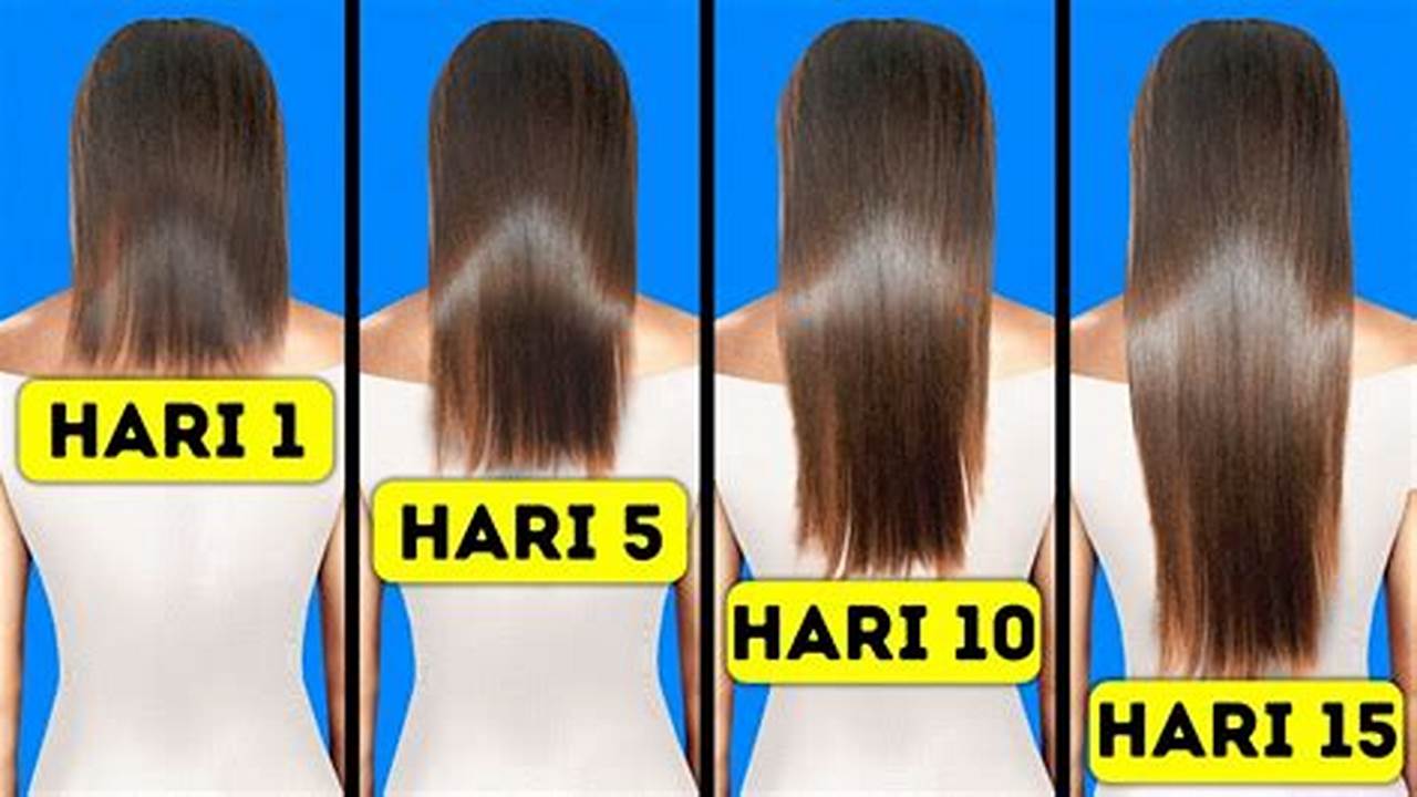 Tips Penggunaan, Pengembang Rambut
