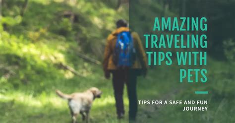 Tips Amazing Trip