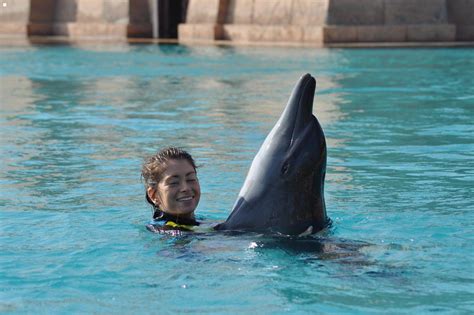 Tips Dolphin Swim Dubai