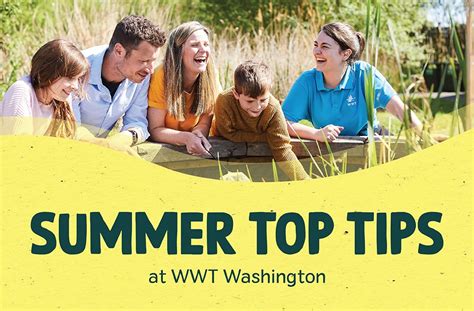 Tips Enhance Visit