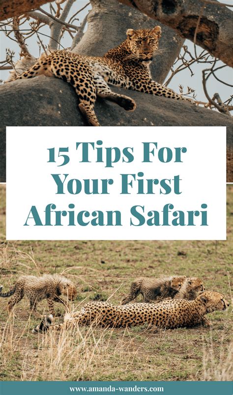 Tips For Awesome Safari