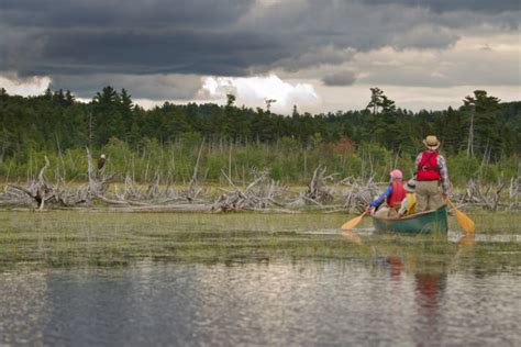 Tips For Canoeing in the Panhandle