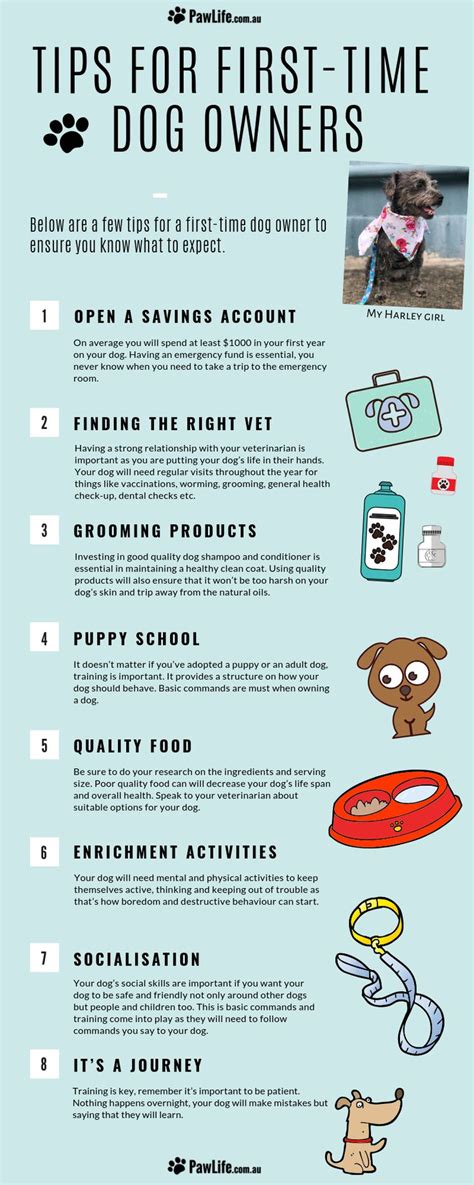 Tips For Pet Owners