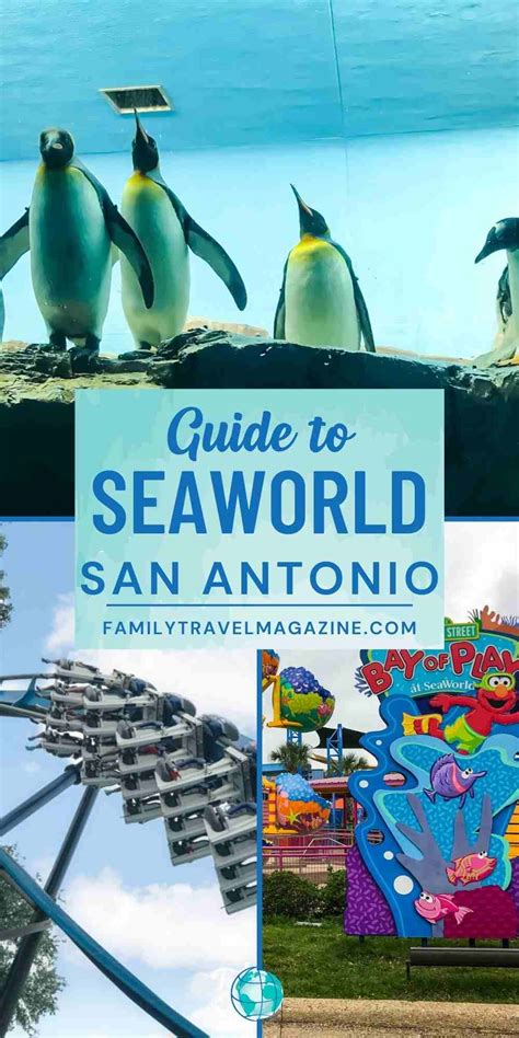 Tips For Riding SeaWorld Shuttle