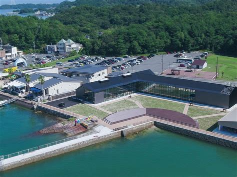 Tips For a Better Seacruise