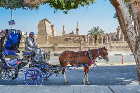 Tips Luxor Carriage Ride