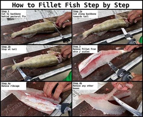 Tips Mengonsumsi Fish Fillet