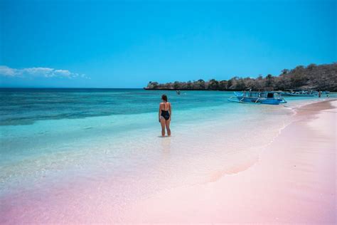 Tips Pink Beach Lombok