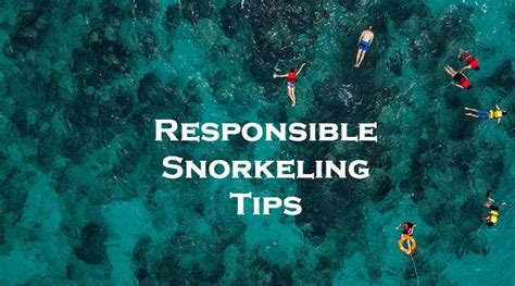 Tips Responsible Snorkeling