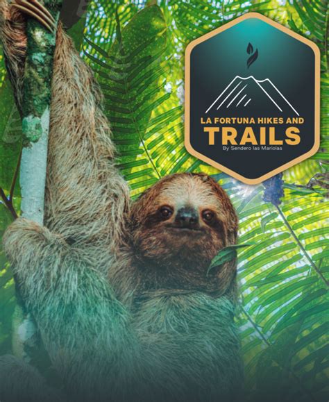 Tips Sloth Tour