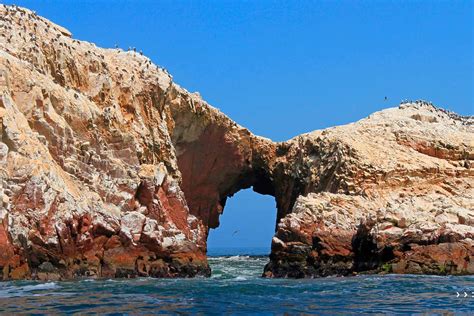 Tips Visiting Ballestas Islands