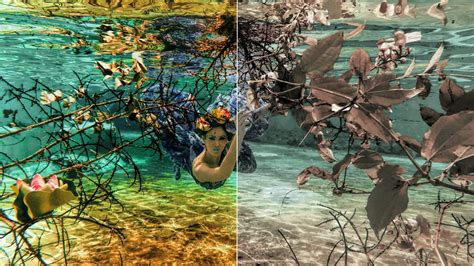 Tips and Tricks for Mastering Digital Colouring