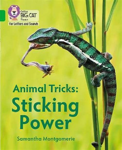 Tips and Tricks for Sticking Power