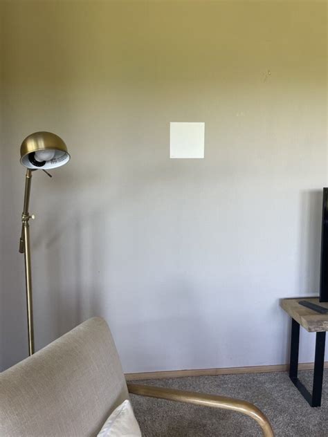 Tips and Tricks for Testing Your Paint Samples