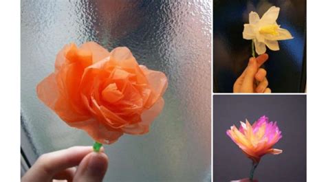 Tips dan Trik tutorial membuat bunga dari plastik