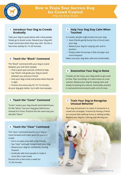 Tips for Affording Your Service Dog