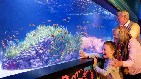 Tips for Aquarium Visit