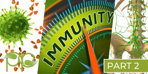 Tips for Building Strong Immunity New Technologies in Liposuction