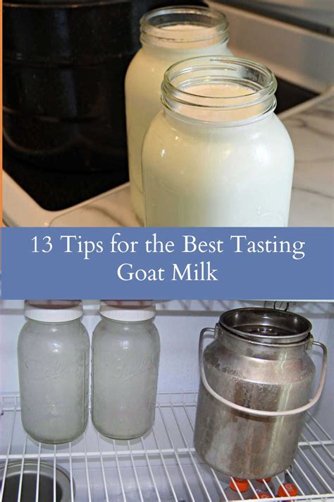 Tips for Buying Goat Milk