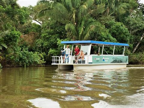 Tips for Cano Negro Tour