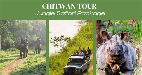 Tips for Chitwan Jungle Tour