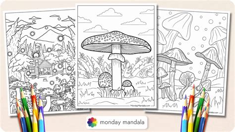 Tips for Choosing High-Quality PDF Coloring Pages