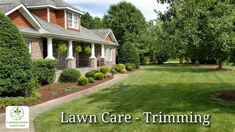 Tips for Choosing Reliable Lawn Care Services in Holly Springs, NC