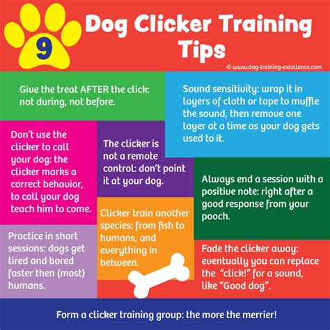 Tips for Clicker Training