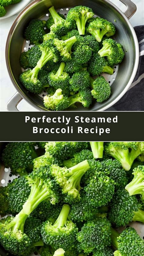 Tips for Cooking Perfect Broccoli
