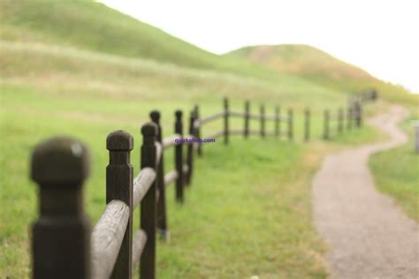 Tips for Customizing Your Ranch