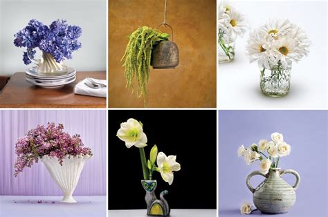 Tips for Displaying Your Flower Knowledge