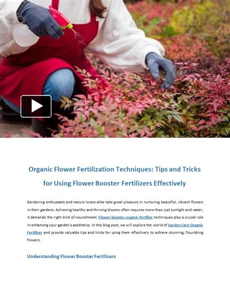 Tips for Effectively Using Flower Images