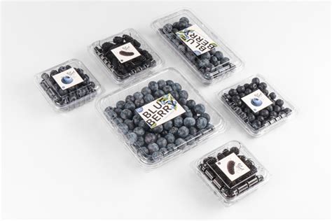 Tips for Elevating Your Blueberry Creations