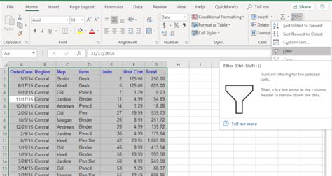Tips for Filtering Excel Data