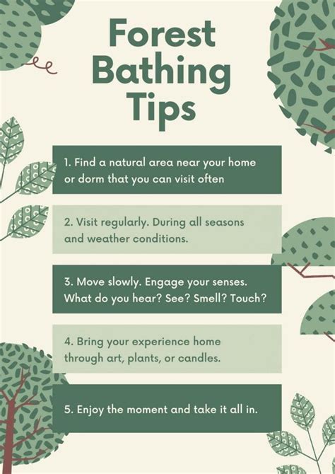 Tips for Forest Bathing