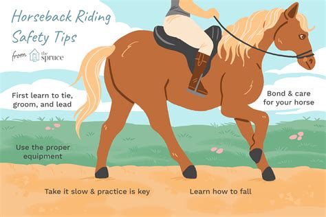 Tips for Horseback Riding Safety