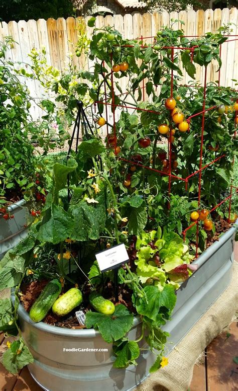 Tips for Maintaining Your Container Vegetable Garden 