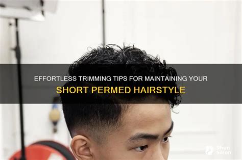 Tips for Maintaining Your Small Hairstyle