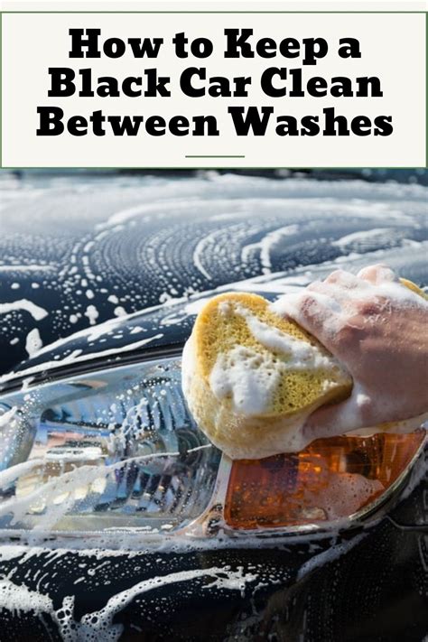 Tips for Maintaining a Clean Interior Between Washes