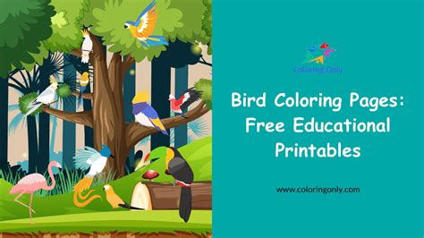 Tips for Making Coloring More Educational
