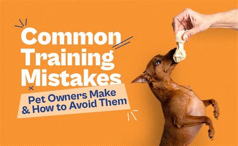 Tips for Managing Insatiable Hunger in Dogs