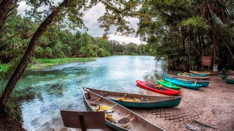 Tips for Maximizing Your Experience in Wekiwa Springs