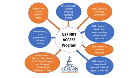 Tips for Maximizing Your Free NRT Access