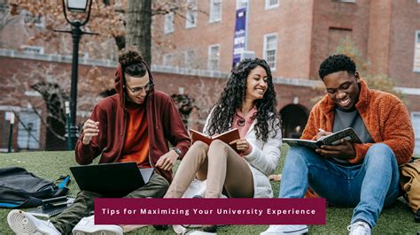 Tips for Maximizing Your I Brainly Experience