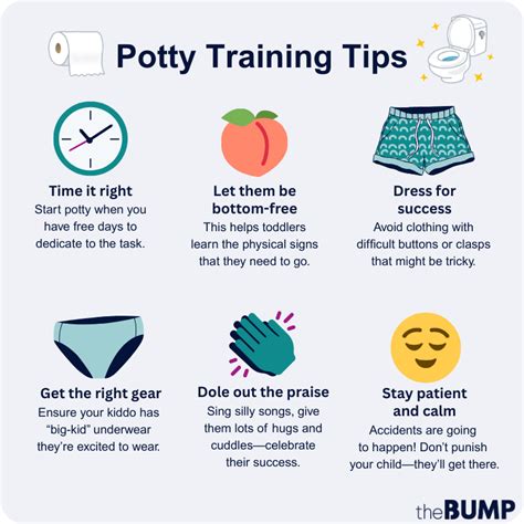 Tips for Potty Training for Dummies