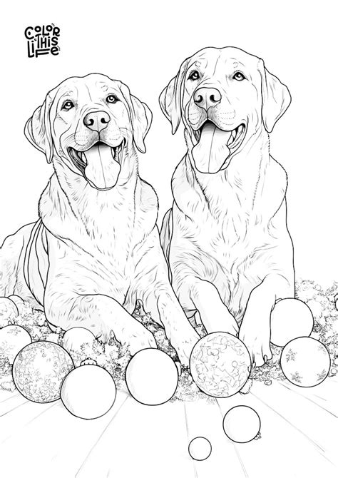 Tips for Printing High-Quality Labrador Coloring Pages