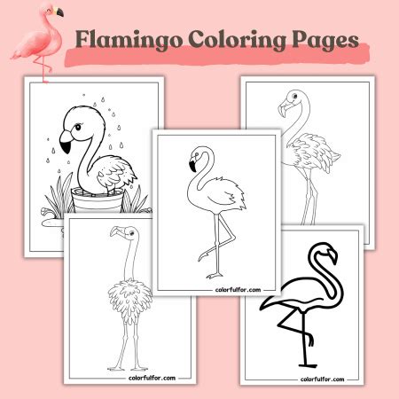 Tips for Printing the Perfect Flamingo Coloring Pages Pdf